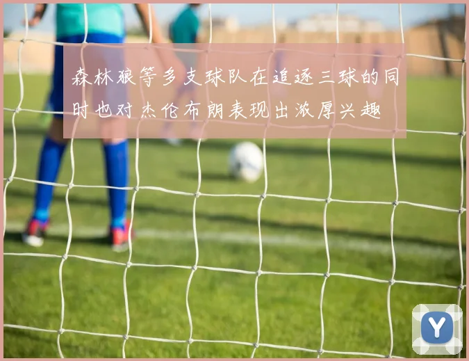 森林狼等多支球队在追逐三球的同时也对杰伦布朗表现出浓厚兴趣